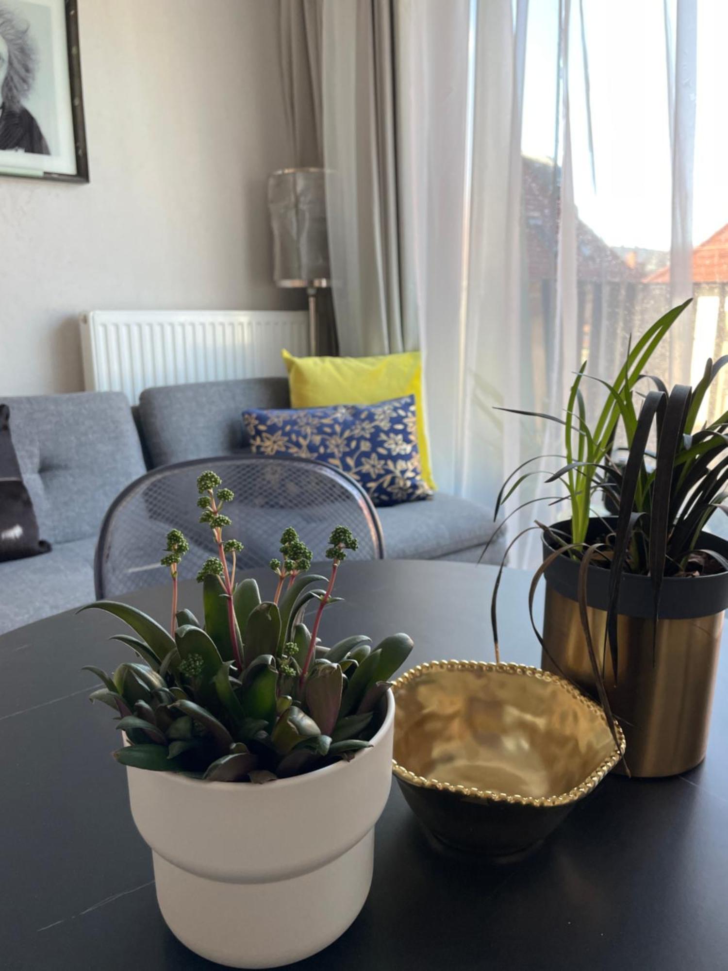 Apartament Piper Gold Targi *